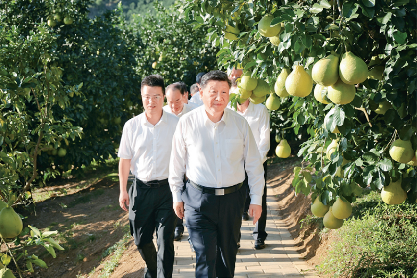 1769134572953.png 1769134572953.png